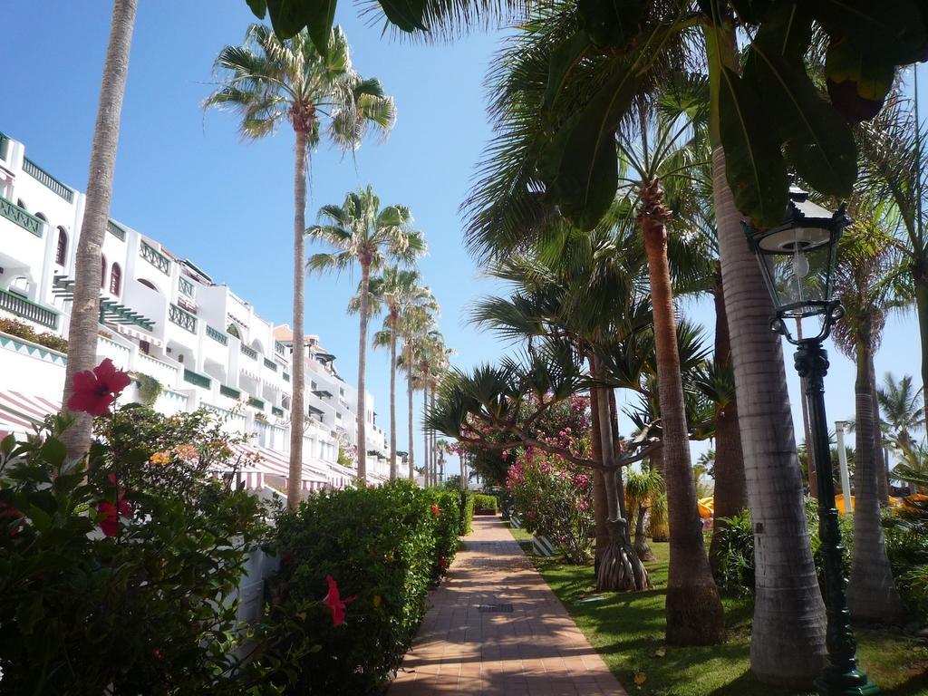 4 Santiago Playa Tenerife Estudio Playa de las Americas  Rum bild